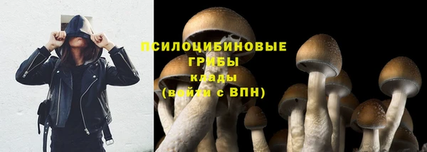 таблы Семикаракорск