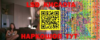 винт Донской