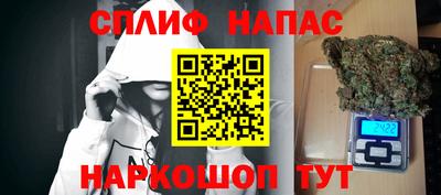 шишки Дубна