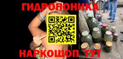 шишки Дубна