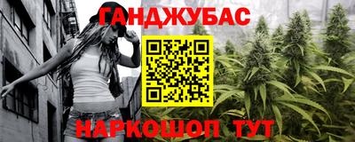 шишки Дубна