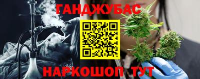 шишки Дубна
