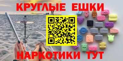 шишки Дубна