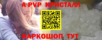 шишки Дубна