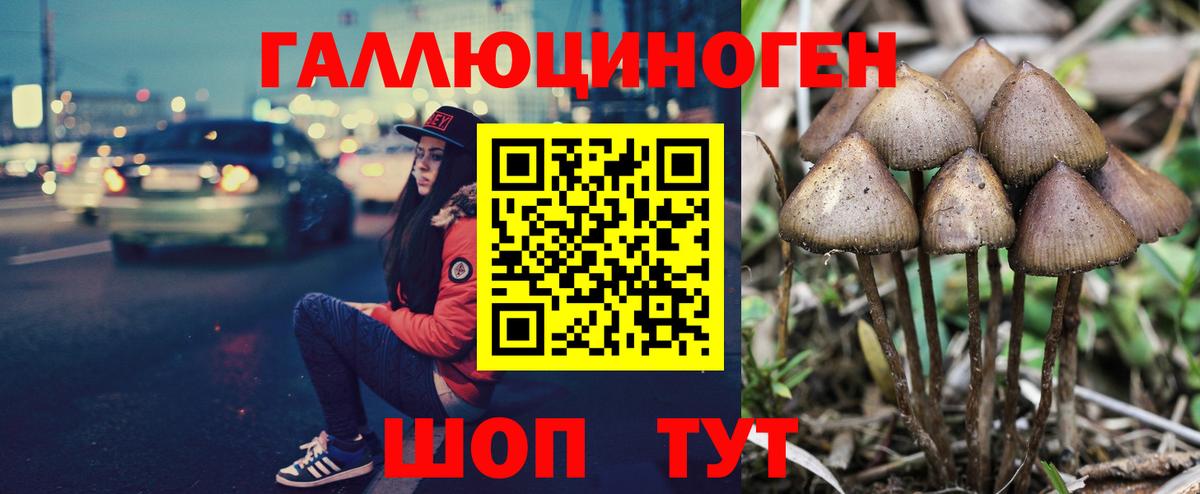 Галлюциногенные грибы MAGIC MUSHROOMS  закладка  Сызрань  Псилоцибиновые грибы мухоморы  Вход с VPN 