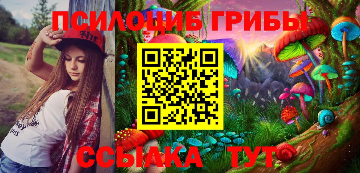 Галлюциногенные грибы GOLDEN TEACHER Сызрань