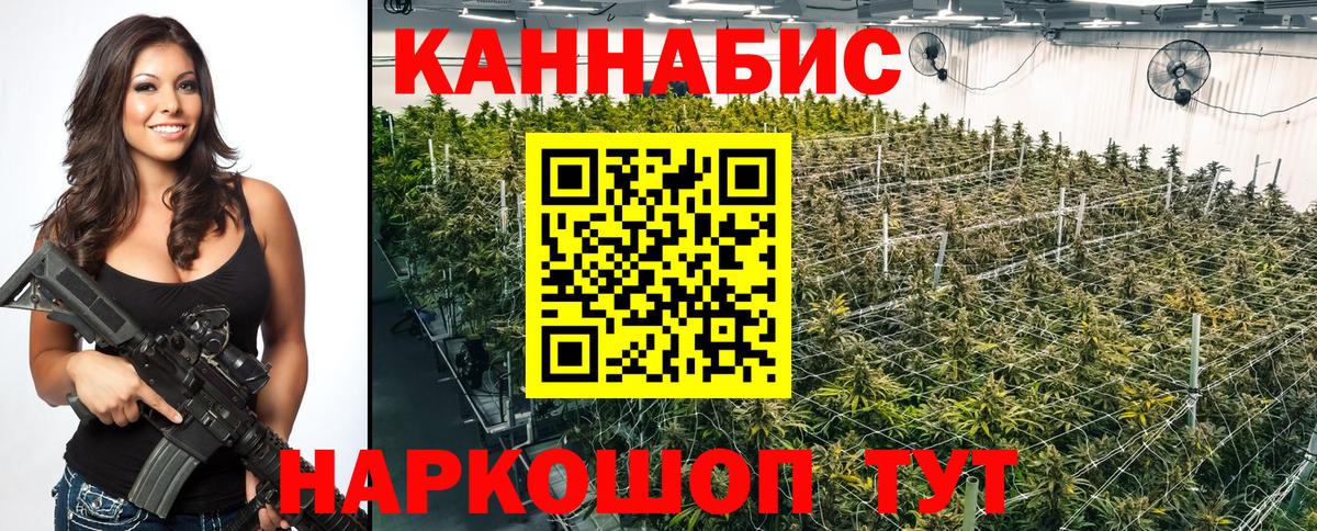 Марихуана конопля Сызрань
